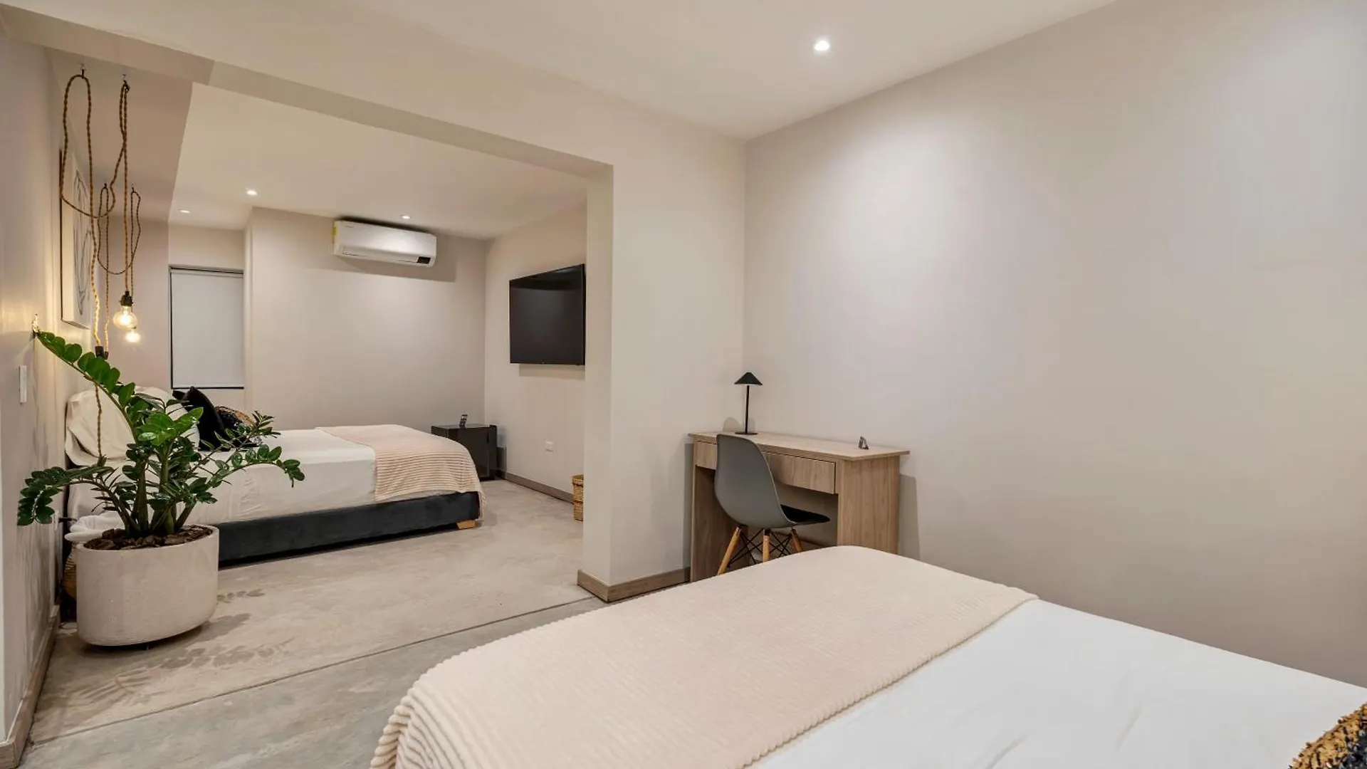Mohk Boutique By Housy Host Hotel Medellin Colombia